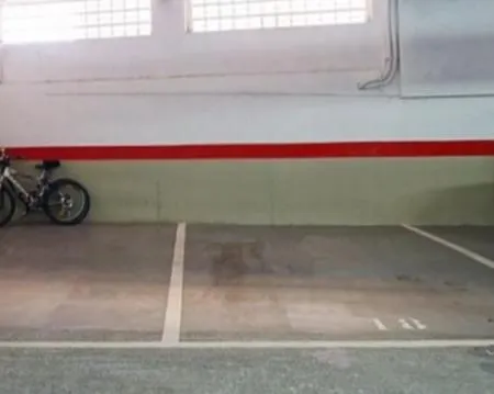 Salamandra Apartament