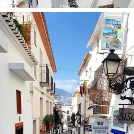 Salamandra * Altea