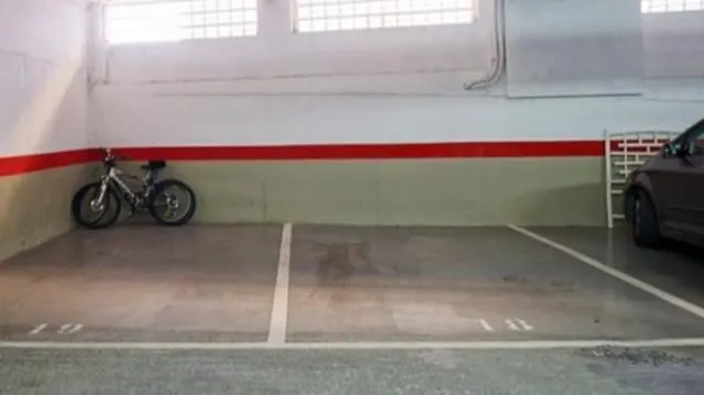 Salamandra Apartamento